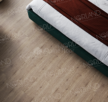 Norland Sigrid Superior 8мм Dor 1008-3 ABA фото 2 | FLOORDEALER
