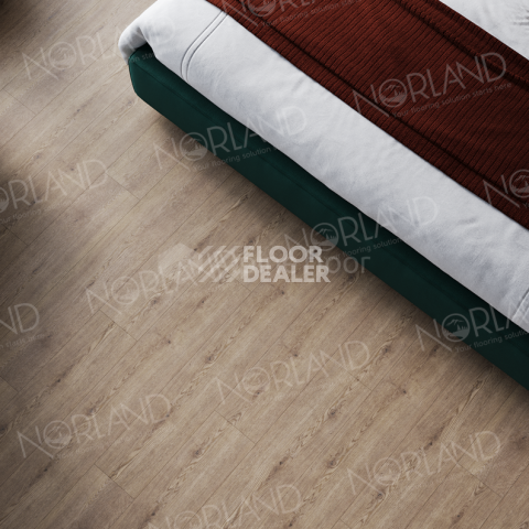 Norland Sigrid Superior 8мм Dor 1008-3 ABA фото 2 | FLOORDEALER
