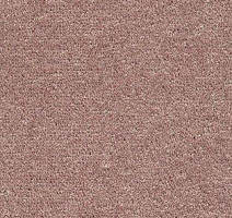 Ковролин AW Spinta 60 фото 1 | FLOORDEALER