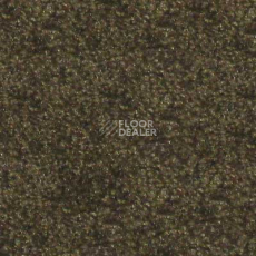 Ковролин Runner Beaulieu of America 12 фото 1 | FLOORDEALER