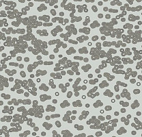 Ковролин Flotex Sottsass Bacteria 990201 фото 1 | FLOORDEALER