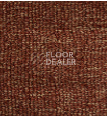 Ковролин Big  Studio 956 фото 1 | FLOORDEALER