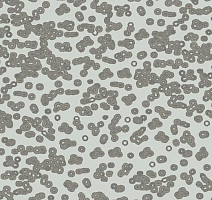 Ковролин Flotex Sottsass Bacteria 990201 фото 1 | FLOORDEALER