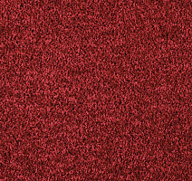 Ковролин AW Kiama 11 фото 1 | FLOORDEALER