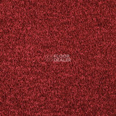 Ковролин AW Kiama 11 фото 1 | FLOORDEALER