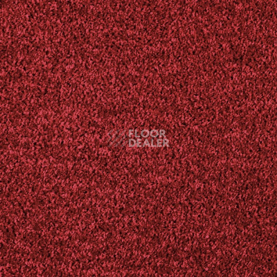 Ковролин AW Kiama 11 фото 1 | FLOORDEALER