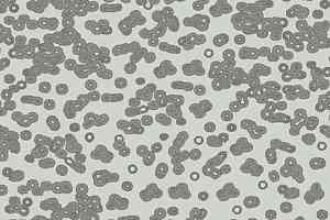 Ковролин Flotex Sottsass Bacteria 990201 фото  | FLOORDEALER