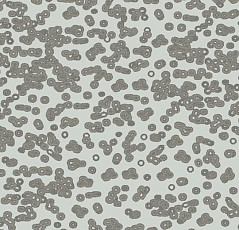 Ковролин Flotex Sottsass Bacteria 990201 фото 1 | FLOORDEALER