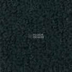 Ковролин Infloor Color 53 590 фото 1 | FLOORDEALER