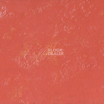 Линолеум Arabesque 0303 Verona фото 1 | FLOORDEALER