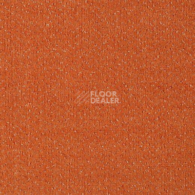 Ковролин Lano Optima Essential 320 фото 1 | FLOORDEALER