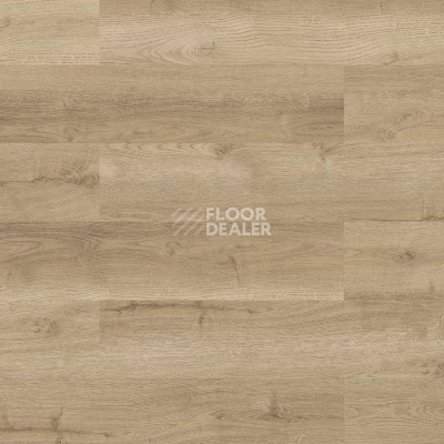 Пробковое покрытие Wood Go LJUZ001  Oak Nature фото 1 | FLOORDEALER