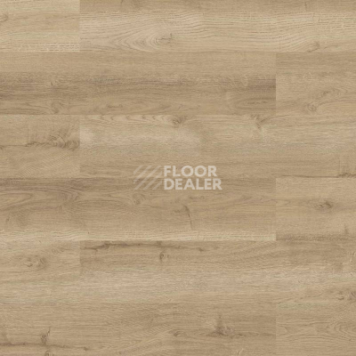 Пробковое покрытие Wood Go LJUZ001  Oak Nature фото 1 | FLOORDEALER