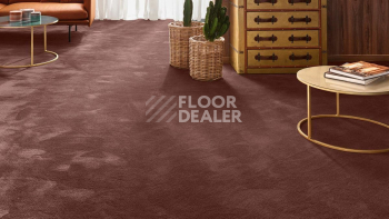 Vorwerk Exclusive 1060 Safira 7g64 фото 2 | FLOORDEALER