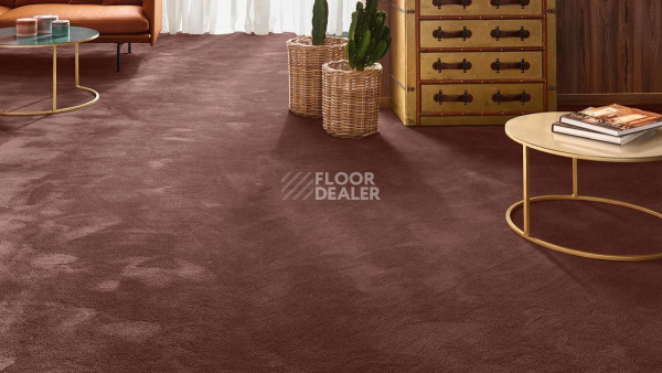 Vorwerk Exclusive 1060 Safira 7g64 фото 2 | FLOORDEALER