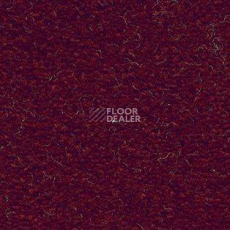 Ковролин AW Souplesse 10 фото 1 | FLOORDEALER