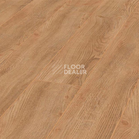Ламинат My Floor Villa 12мм Конкрет натуральный M1235 фото 1 | FLOORDEALER