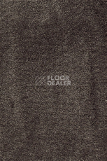 Ковролин AW Masquerade Fedone 44 фото 1 | FLOORDEALER