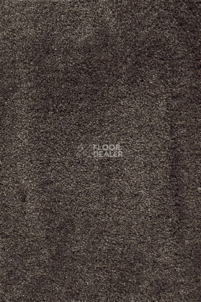 Ковролин AW Masquerade Fedone 44 фото 1 | FLOORDEALER