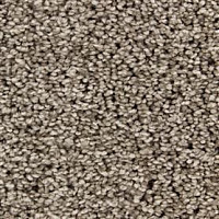 Ковролин Edel Chavelli 129 фото 1 | FLOORDEALER