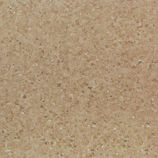 Линолеум Tarkett iQ Aria CARII-659 фото 1 | FLOORDEALER