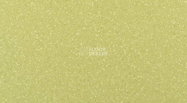 Кварцвиниловые полы Attraction Cleantech 600x600 BRAZILIA_8577_Amazonas фото 1 | FLOORDEALER