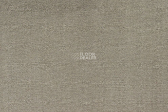 Ковролин ITC Roxane 249 фото 1 | FLOORDEALER