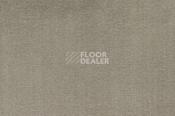 Ковролин ITC Roxane 249 фото 1 | FLOORDEALER