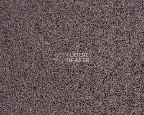 Ковролин Lano Incasa 090 Aubergine фото 1 | FLOORDEALER