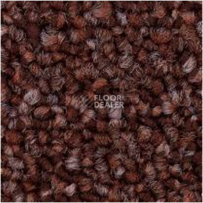 Ковровая плитка Tecsom 2050 w 196 фото 1 | FLOORDEALER