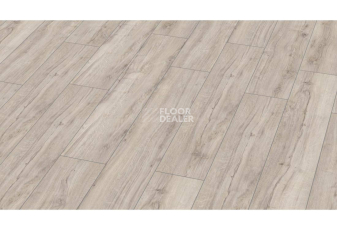 Ламинат Kronotex Exquisit Plus d3673 Дуб Бергамо фото 1 | FLOORDEALER
