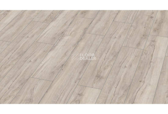 Kronotex Exquisit Plus d3673 Дуб Бергамо фото 1 | FLOORDEALER