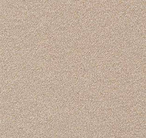 Ковролин AW Confidence 38 фото 1 | FLOORDEALER