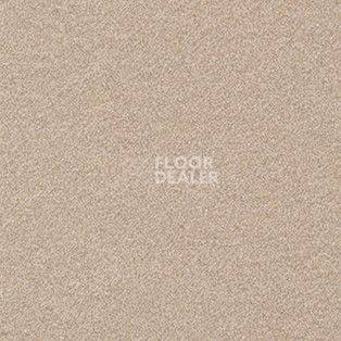 Ковролин AW Confidence 38 фото 1 | FLOORDEALER