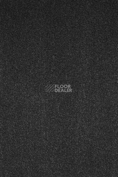 Ковролин AW Masquerade Moretta 98 фото 1 | FLOORDEALER