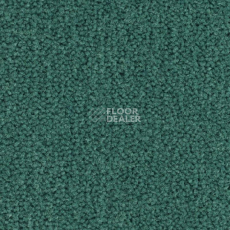 Ковролин Balsan Les Best 279 фото 1 | FLOORDEALER