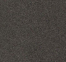 Ковролин AW Confidence 97 фото 1 | FLOORDEALER