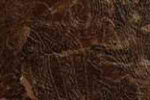 Керамогранит ColiseumGres Calabria Калабрия Коричневый Фашиа Рамаж фото  | FLOORDEALER