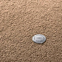 Ковролин Vorwerk Superior 1065/Viola Vorwerk 7g74  | FLOORDEALER