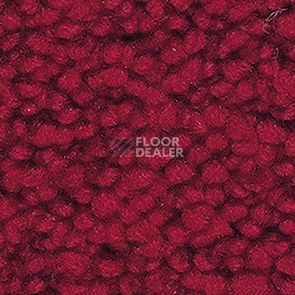 Ковролин Balsan Metis Metis 575 фото 1 | FLOORDEALER