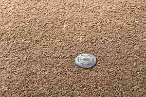 Ковролин Vorwerk Superior 1065/Viola Vorwerk 7g74 фото  | FLOORDEALER