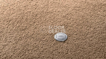 Ковролин Vorwerk Superior 1065/Viola Vorwerk 7g74 фото 1 | FLOORDEALER