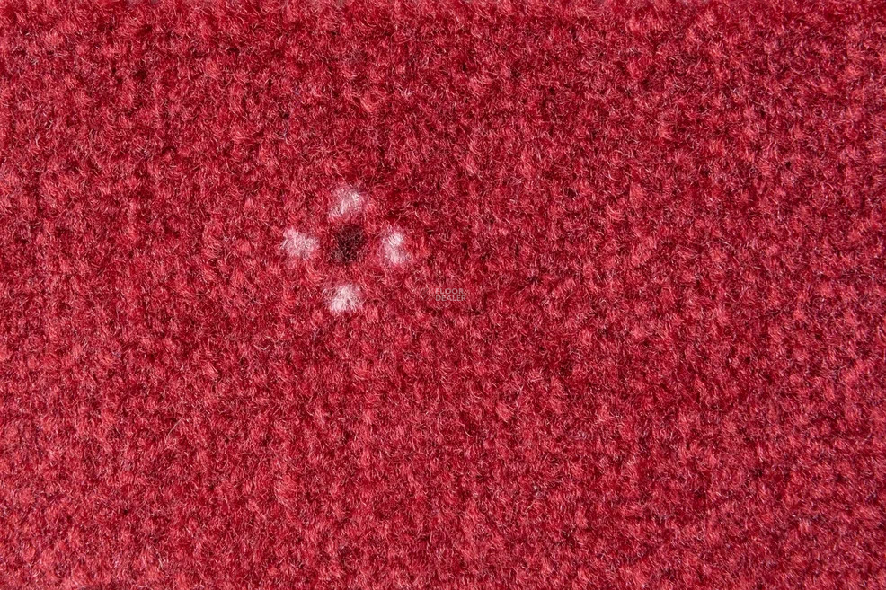 AW Animo AW Animo 11 фото 2 | FLOORDEALER