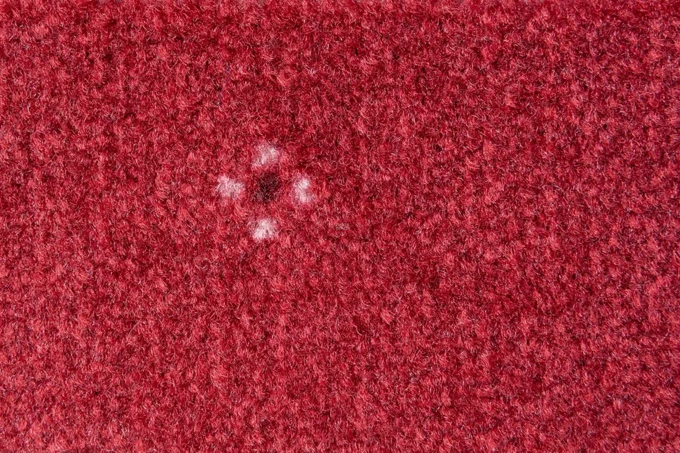 AW Animo AW Animo 11 фото 2 | FLOORDEALER