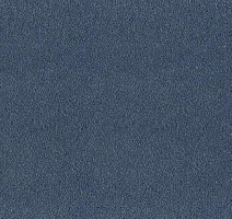 Ковролин Desso Asteranne 8812 фото 1 | FLOORDEALER