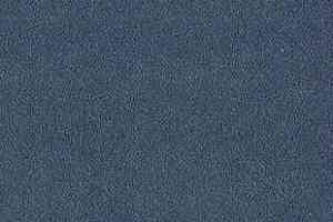 Ковролин Desso Asteranne 8812 фото  | FLOORDEALER