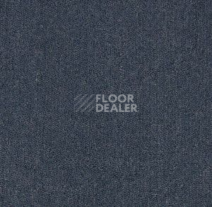 Ковролин Big Majesty 893 фото 1 | FLOORDEALER