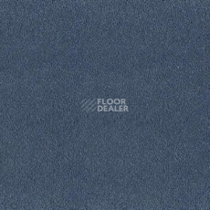 Ковролин Desso Asteranne 8812 фото 1 | FLOORDEALER