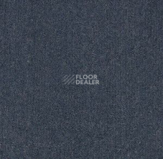 Ковролин Big Majesty 893 фото 1 | FLOORDEALER