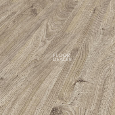 Ламинат Kronotex Mammut d3081 Дуб Еверест Серебро фото 1 | FLOORDEALER